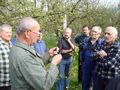 Jarní ošetřování stromů a výsadba nových ve školní zahradě - 6.4.2014
