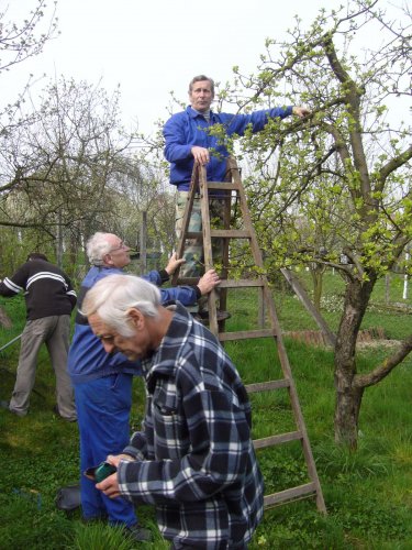 Jarní ošetřování stromů a výsadba nových ve školní zahradě - 6.4.2014