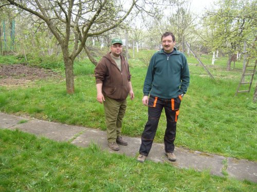 Jarní ošetřování stromů a výsadba nových ve školní zahradě - 6.4.2014