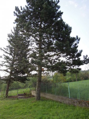 Nové budky pro ptáky - 22.4.2014