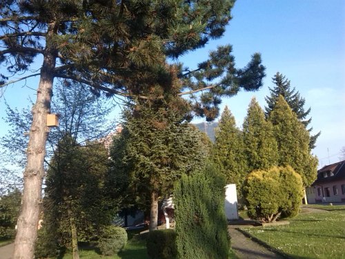 Nové budky pro ptáky - 22.4.2014