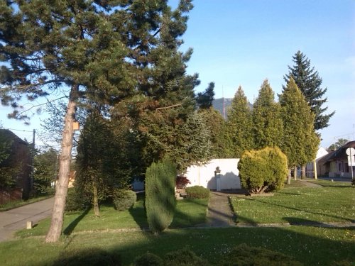 Nové budky pro ptáky - 22.4.2014