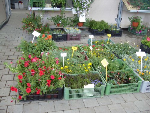 Zájezd Zahrádkářů na květinovou výstavu Floria Kroměříž - 10.5.2014
