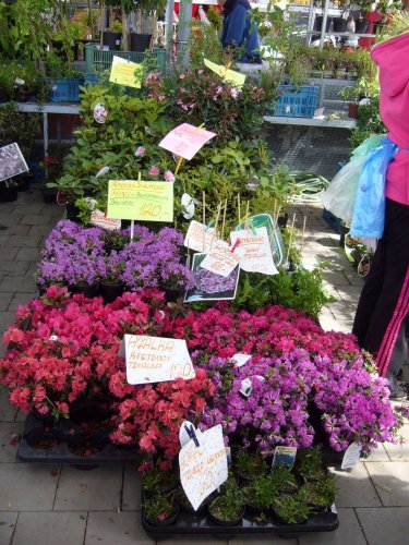 Zájezd Zahrádkářů na květinovou výstavu Floria Kroměříž - 10.5.2014