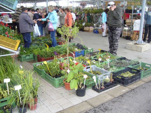 Zájezd Zahrádkářů na květinovou výstavu Floria Kroměříž - 10.5.2014