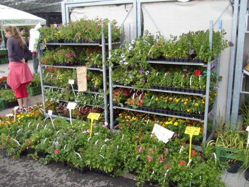 Zájezd Zahrádkářů na květinovou výstavu Floria Kroměříž - 10.5.2014