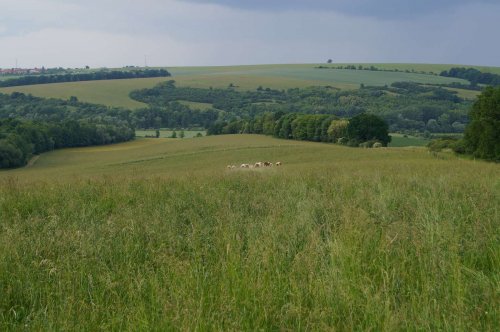 Prohlídka pastevního areálu Josefa Fiksela - 31.5.2014