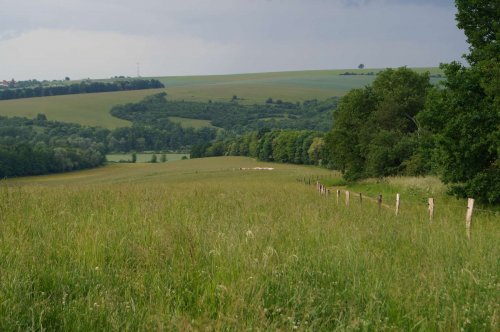 Prohlídka pastevního areálu Josefa Fiksela - 31.5.2014