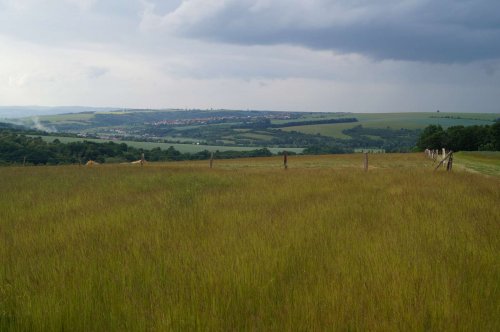 Prohlídka pastevního areálu Josefa Fiksela - 31.5.2014