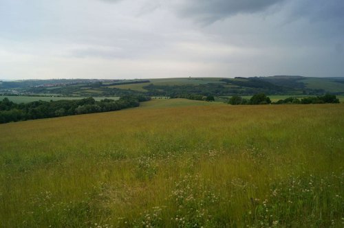 Prohlídka pastevního areálu Josefa Fiksela - 31.5.2014