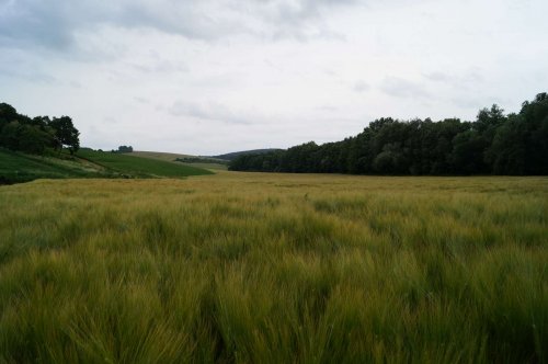 Prohlídka pastevního areálu Josefa Fiksela - 31.5.2014