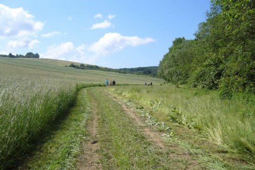 Prohlídka pastevního areálu Josefa Fiksela - 31.5.2014