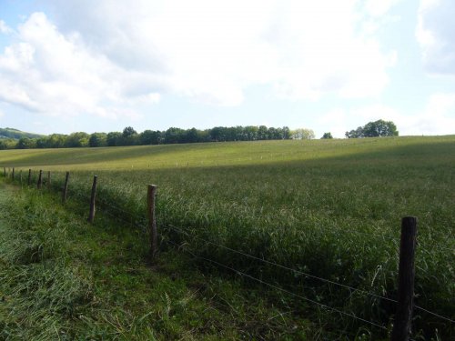 Prohlídka pastevního areálu Josefa Fiksela - 31.5.2014