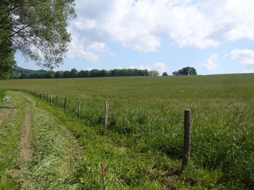 Prohlídka pastevního areálu Josefa Fiksela - 31.5.2014