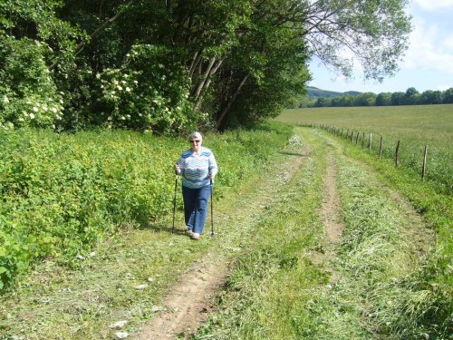 Prohlídka pastevního areálu Josefa Fiksela - 31.5.2014