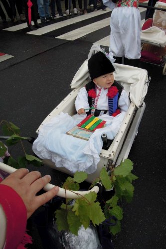 Slavnosti vína v Uherském Hradišti - 13.9.2014