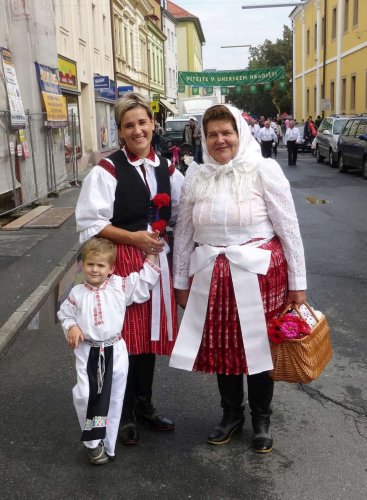 Slavnosti vína v Uherském Hradišti - 13.9.2014