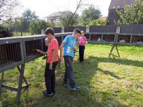 Výstava chovatelů - 20.9.2014