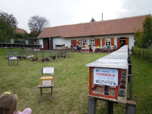 Výstava chovatelů - 20.9.2014