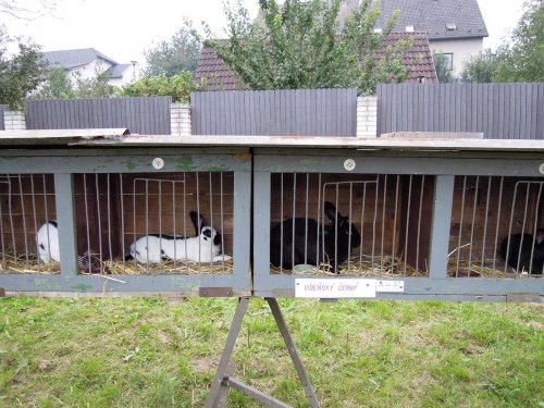 Výstava chovatelů - 20.9.2014