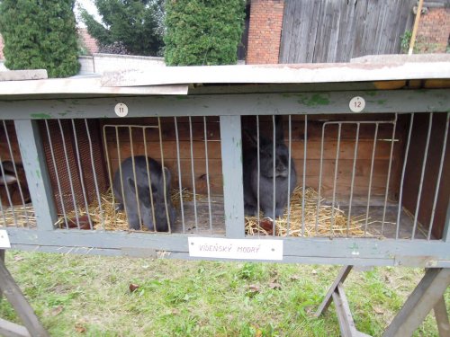 Výstava chovatelů - 20.9.2014