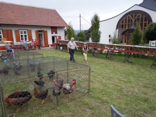Výstava chovatelů - 20.9.2014