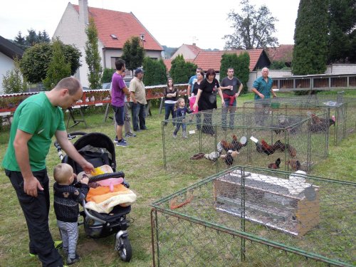 Výstava chovatelů - 20.9.2014