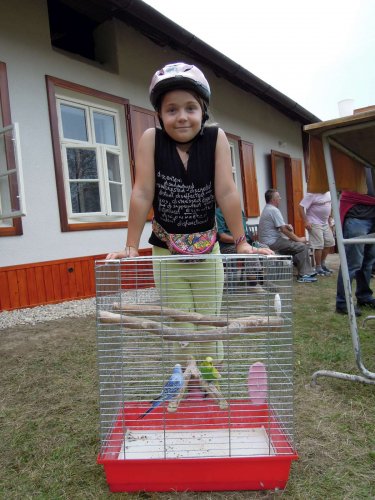 Výstava chovatelů - 20.9.2014