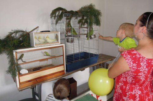 Výstava chovatelů - 20.9.2014