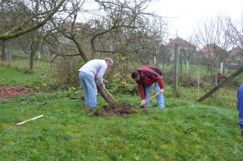 Brigáda zahrádkářů ve školní zahradě - 22.11.2014