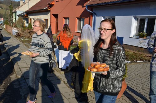 Fašankový průvod - 14.2.2015