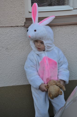 Fašankový průvod - 14.2.2015