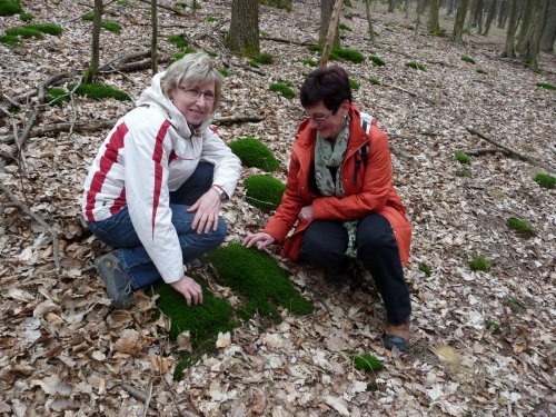 Sokolská vycházka na Pepčín - 29.3.2015