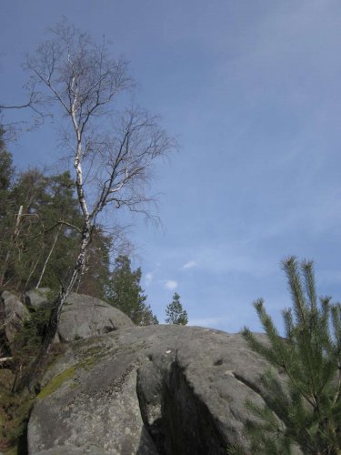 Sokolská procházka okolo Pulčínských skal - 11.4.2015