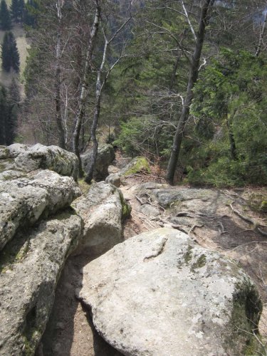 Sokolská procházka okolo Pulčínských skal - 11.4.2015