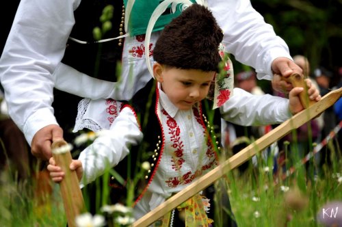 Soubor /2015-05-24-koseni-sekaci-buchlovice-19.jpg