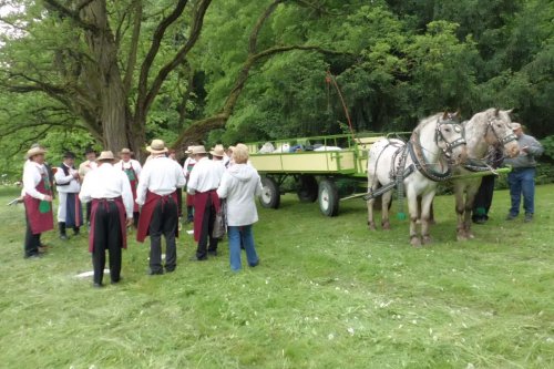 Sekáči na koseckých písních v Buchlovicích - 24.5.2015