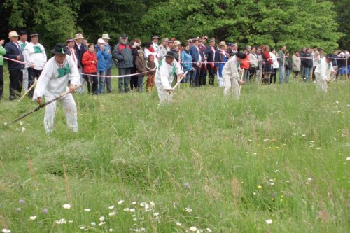 Sekáči na koseckých písních v Buchlovicích - 24.5.2015