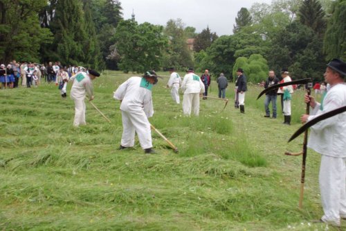 Sekáči na koseckých písních v Buchlovicích - 24.5.2015