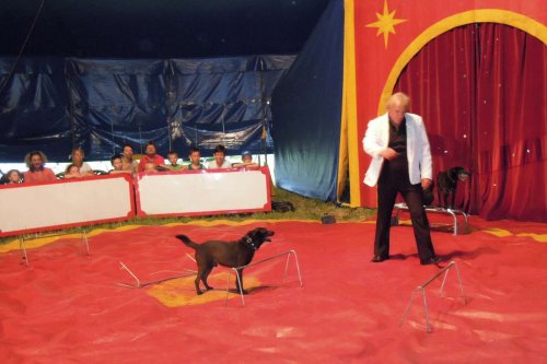 Cirkus Pacific v Podolí - 14.6.2015