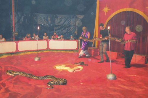 Cirkus Pacific v Podolí - 14.6.2015