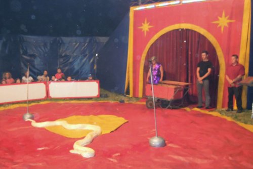 Cirkus Pacific v Podolí - 14.6.2015