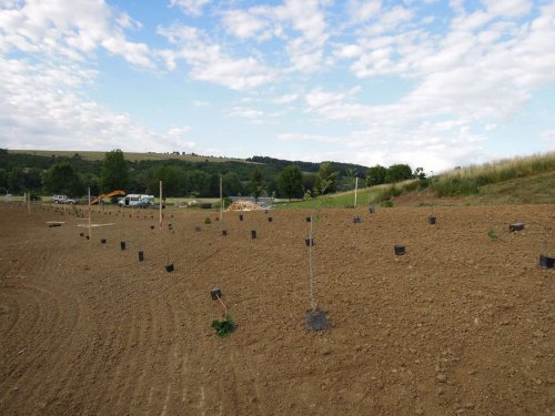 Výstavba mokřadů v Podolí - 24.6.2015