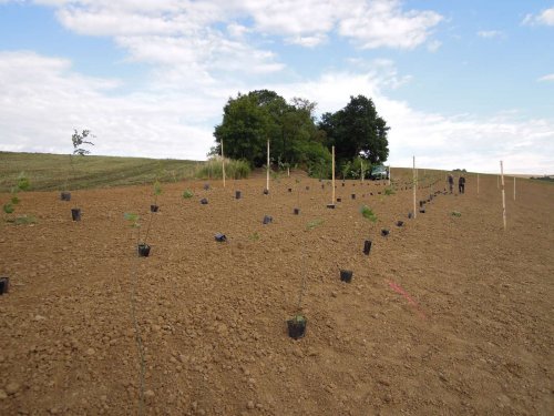 Výstavba mokřadů v Podolí - 24.6.2015