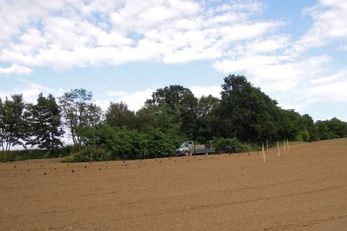 Výstavba mokřadů v Podolí - 24.6.2015