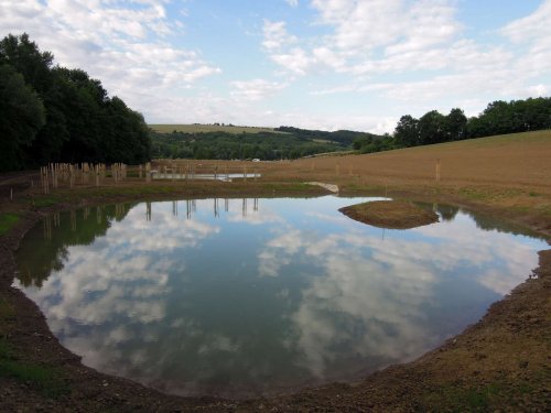Výstavba mokřadů v Podolí - 24.6.2015