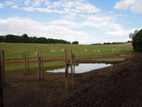 Výstavba mokřadů v Podolí - 24.6.2015