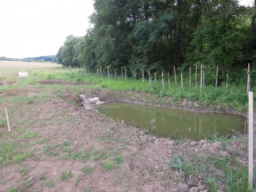 Výstavba mokřadů v Podolí - 24.6.2015