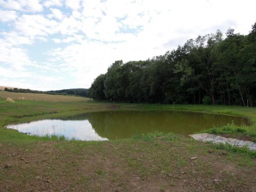 Výstavba mokřadů v Podolí - 24.6.2015