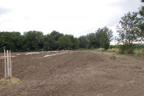 Výstavba mokřadů v Podolí - 24.6.2015